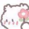 权 avatar