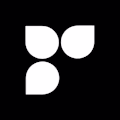 TRUEFRAME logo
