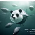 Anurag avatar