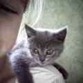Tut avatar