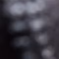 Sierra avatar