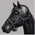 BlackHorseMedia logo