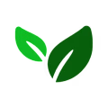 Silicon avatar