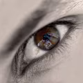 Ahmed avatar