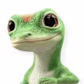 ryan avatar