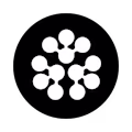 Nucleus avatar