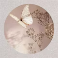 Anita avatar
