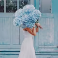 Caroline avatar