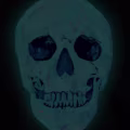 Fr33 avatar