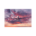 argentina  avatar