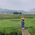 Kailey avatar