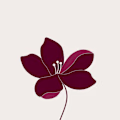 Ikra avatar