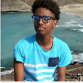 Leonardo avatar