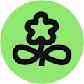 Midori design studio avatar