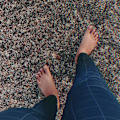 Pallavi avatar