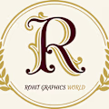 Rohit avatar