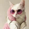 Zunaira avatar