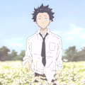 Tanay avatar
