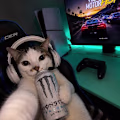 anas avatar