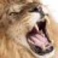 Janssen avatar