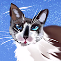 Starlight avatar