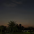 Amani avatar