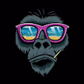 Yashvardhan avatar