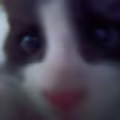 Camila avatar