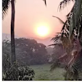Bhakti avatar