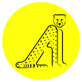 Ary avatar