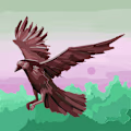 Syed avatar