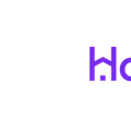 Haven AI logo