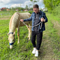 Dima avatar
