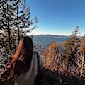 Zoya avatar