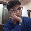 Krishna avatar