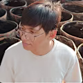 Wingkle avatar
