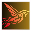 Code and Fly avatar