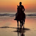 Abderrahman avatar