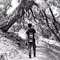 Alex avatar