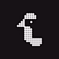 Pixeloose avatar
