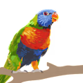 Sam  avatar