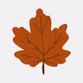 nasraddine avatar