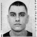 Daniel avatar