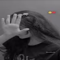 Zoha  avatar