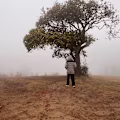 Ramandeep avatar