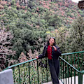 Mariam avatar