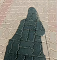 Kashaf  avatar