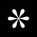 ogogokko avatar