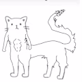 Usnah avatar