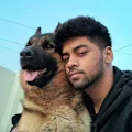 Harshit avatar